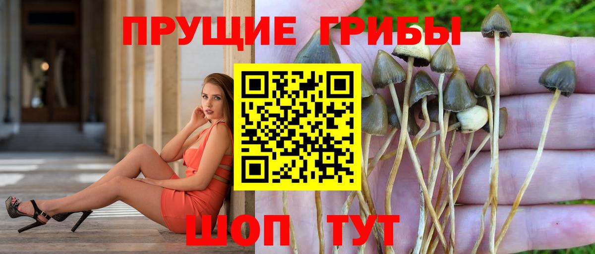 Шали  закладка  Галлюциногенные грибы мухоморы  Вход с VPN  Галлюциногенные грибы ЛСД 