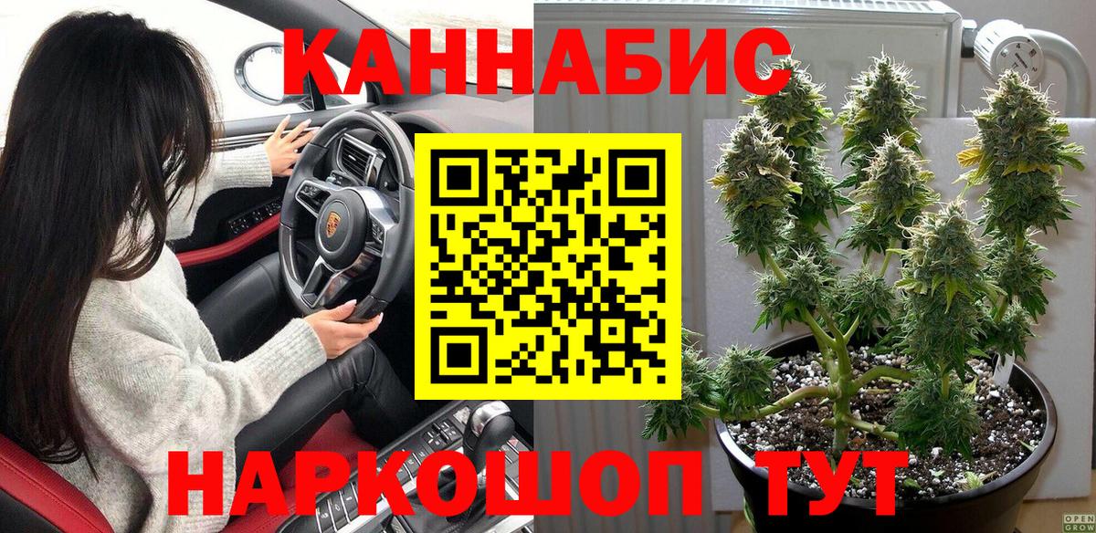 МАРИХУАНА планчик Шали